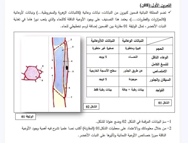 تمرين استرجاع مع الحل نص علمي حول مصدر المادة الضرورية التركيز الحيوية عند النبات سنة أولى ثانوي علمي