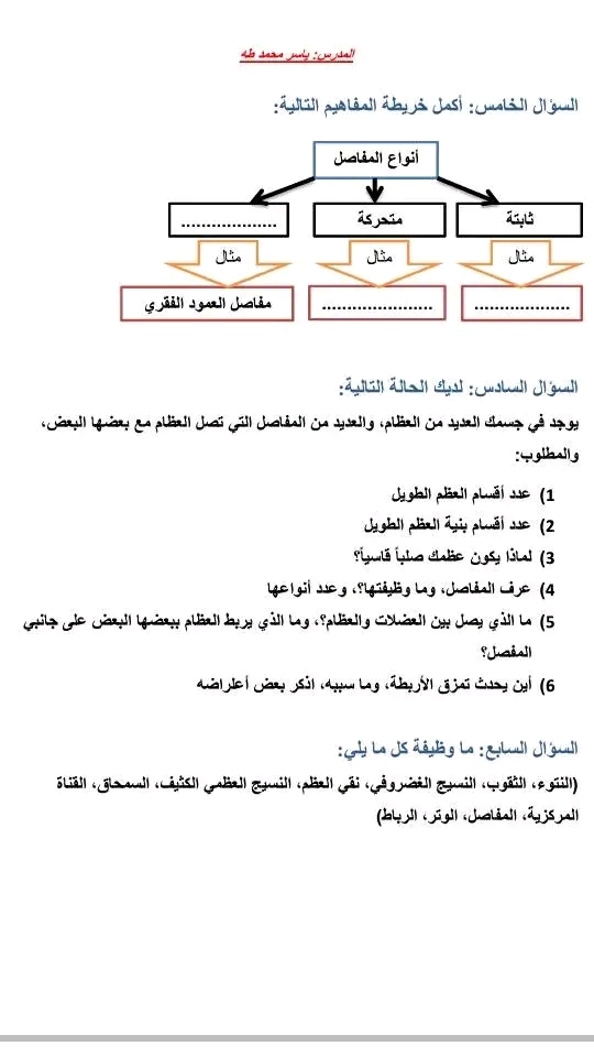 شرح  وحل درس حقوق الانسان في المواثيق الدولية