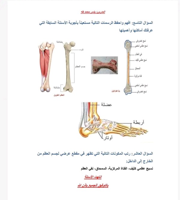 شرح  وحل درس حقوق الانسان في المواثيق الدولية