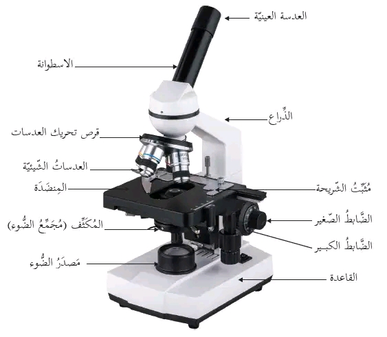 معلومات عن المجهر الضوئي وكيفية استخدامة