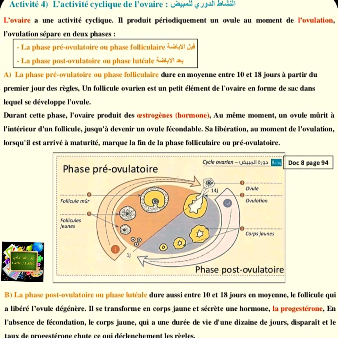 تحضير درس: التوالد عند الإنسان  Cours : la reproduction Chez l'homme علوم ثانية اعدادي