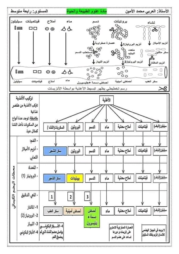 ملخصات دروس العلوم الطبيعية للسنة الرابعة متوسط 2023 2024 الفصل الأول ملخصات علوم طبيعية 4 متوسط