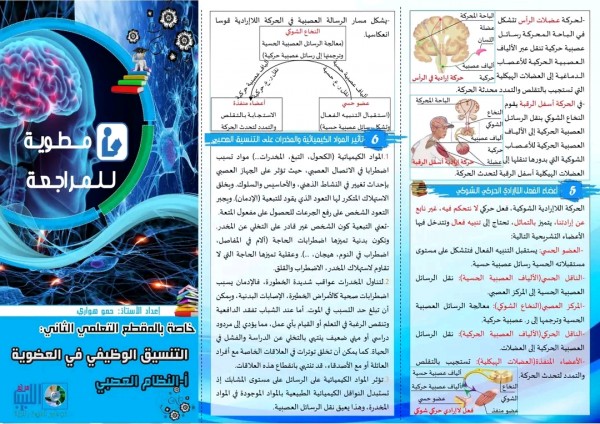 ملخص علوم الاتصال العصبي رابعة متوسط