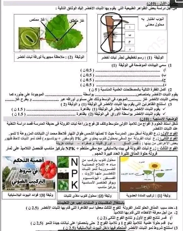 وضعيات ادماجية مع الحل في العلوم الطبيعية الفصل الثاني سنة أولى متوسط