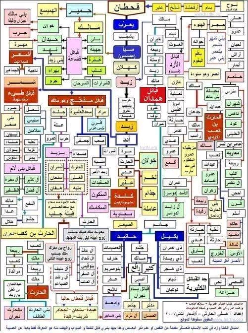 اصل ونسب قبائل حاشد وبكيل اليمنية ويكيبيديا خريطة شجرة أفخاذ القبائل الحاشدية والبكيلية آل حاشد وبكيل