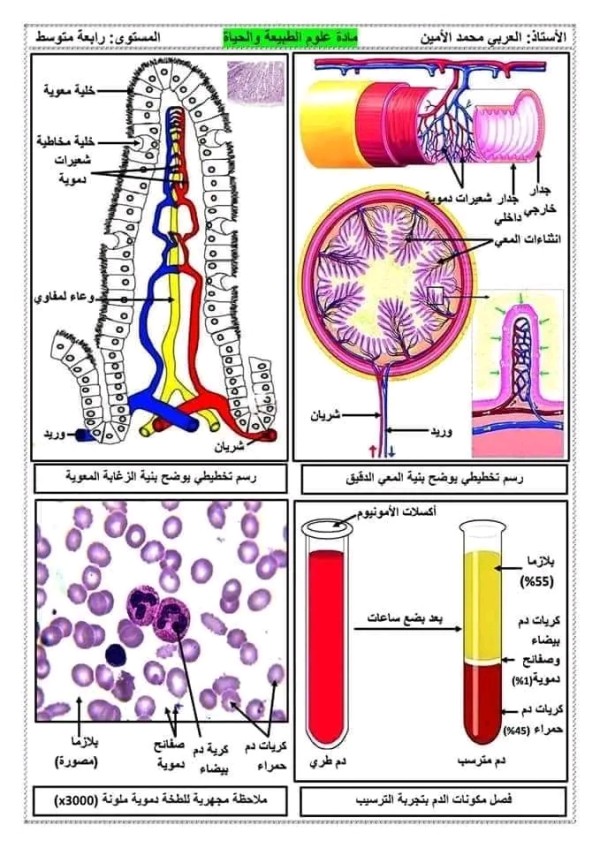 ملخصات دروس العلوم الطبيعية للسنة الرابعة متوسط 2023 2024 الفصل الأول ملخصات علوم طبيعية 4 متوسط